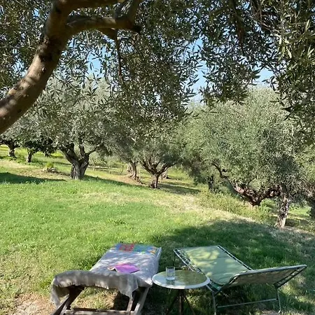 Alojamento de Acomodação e Pequeno-almoço La Vera Troviggiano