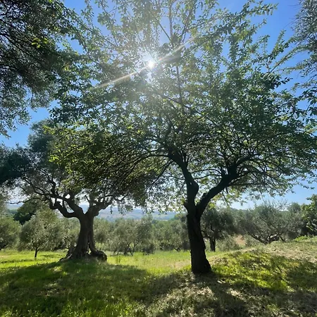 La Vera Troviggiano