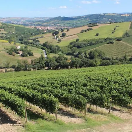 ベッド・アンド・ブレックファスト La Vera *