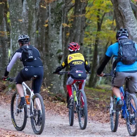 La Vera * Troviggiano