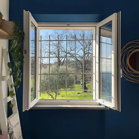 ベッド・アンド・ブレックファスト La Vera *