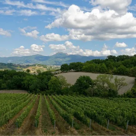 La Vera Frühstückspension Troviggiano