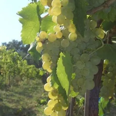 Frühstückspension La Vera Troviggiano