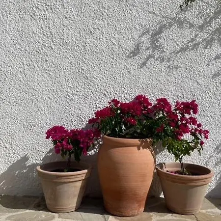 La Vera Frühstückspension Troviggiano